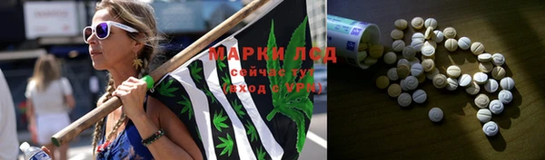 индика Алексеевка