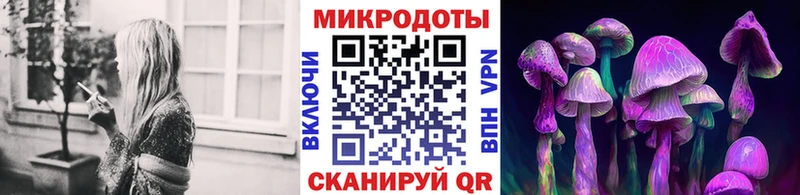 Псилоцибиновые грибы мицелий Артём